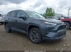 2T3RWRFVXRW236855 2024 TOYOTA RAV 4