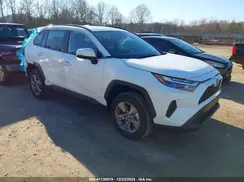 2T3RWRFVXRW243899 2024 TOYOTA RAV 4
