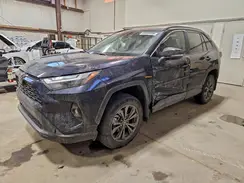 2T3RWRFVXRW249069 2024 TOYOTA RAV 4
