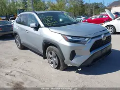 2T3RWRFVXSW254858 2025 TOYOTA RAV 4