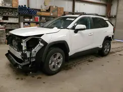 2T3RWRFVXSW255217 2025 TOYOTA RAV 4