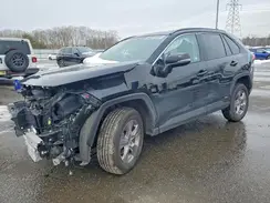 2T3RWRFVXSW265679 2025 TOYOTA RAV 4