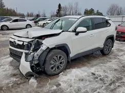 2T3RWRFVXSW273345 2025 TOYOTA RAV 4