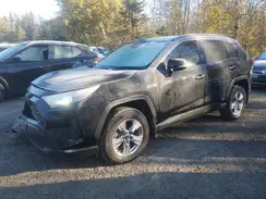 2T3RWRFVXSW277959 2025 TOYOTA RAV 4