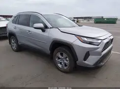 2T3RWRFVXSW281672 2025 TOYOTA RAV 4