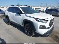 2T3S1RFV0RW457154 2024 TOYOTA RAV 4