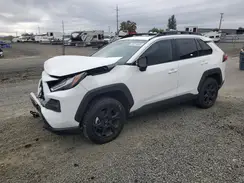 2T3S1RFV1RW437527 2024 TOYOTA RAV 4