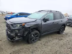 2T3S1RFV4PW366479 2023 TOYOTA RAV 4