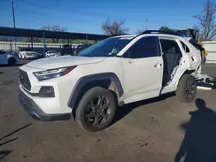 2T3S1RFV4PW385646 2023 TOYOTA RAV 4