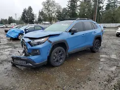 2T3S1RFV4RW462695 2024 TOYOTA RAV 4