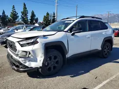 2T3S1RFV4RW488889 2024 TOYOTA RAV 4