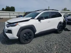 2T3S1RFV5RW423131 2024 TOYOTA RAV 4