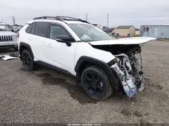 2T3S1RFV6PW386460 2023 TOYOTA RAV 4