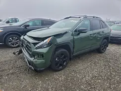 2T3S1RFV6RW467039 2024 TOYOTA RAV 4