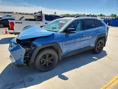 2T3S1RFV7PW332942 2023 TOYOTA RAV 4