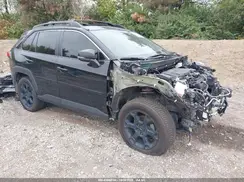 2T3S1RFV7RW423406 2024 TOYOTA RAV 4