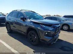 2T3S1RFV7RW446023 2024 TOYOTA RAV 4