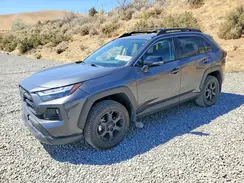2T3S1RFV8RW484649 2024 TOYOTA RAV 4