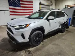 2T3T6RFV1RW067914 2024 TOYOTA RAV 4