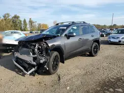 2T3T6RFV2RW061619 2024 TOYOTA RAV 4