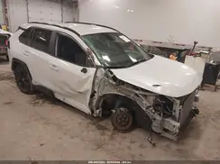 2T3T6RFV2RW069204 2024 TOYOTA RAV 4