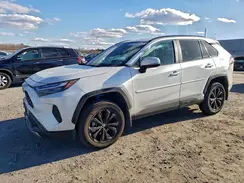 2T3T6RFV3RW067378 2024 TOYOTA RAV 4