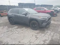 2T3T6RFV4RW064313 2024 TOYOTA RAV 4