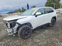 2T3T6RFV4RW075280 2024 TOYOTA RAV 4