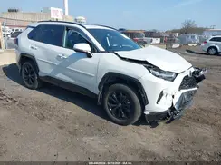 2T3T6RFV4RW078227 2024 TOYOTA RAV 4