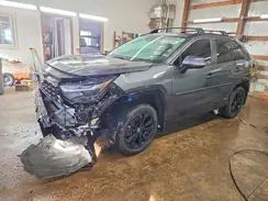 2T3T6RFV5RW073375 2024 TOYOTA RAV 4