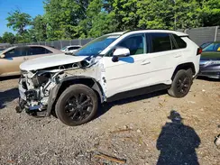 2T3T6RFV7RW047683 2024 TOYOTA RAV 4