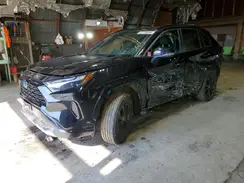 2T3T6RFV7RW061177 2024 TOYOTA RAV 4