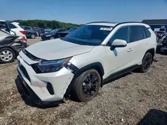 2T3T6RFV8RW049667 2024 TOYOTA RAV 4