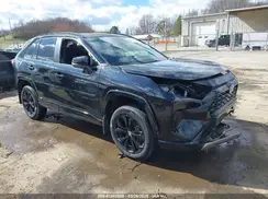 2T3T6RFV8RW060300 2024 TOYOTA RAV 4