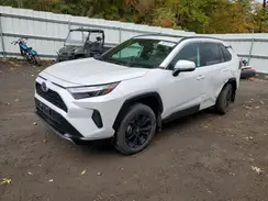 2T3T6RFV8RW066596 2024 TOYOTA RAV 4