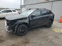 2T3T6RFV8RW083138 2024 TOYOTA RAV 4