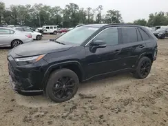 2T3T6RFV9RW048138 2024 TOYOTA RAV 4