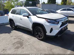 2T3T6RFV9RW049290 2024 TOYOTA RAV 4