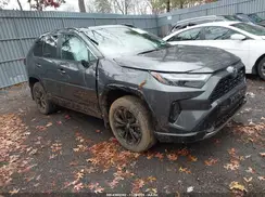 2T3T6RFV9RW068938 2024 TOYOTA RAV 4