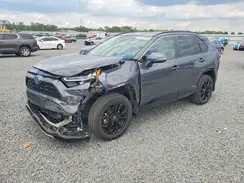 2T3T6RFVXRW056023 2024 TOYOTA RAV 4