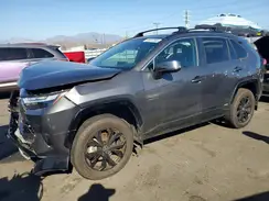 2T3T6RFVXRW056975 2024 TOYOTA RAV 4