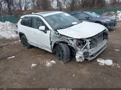 2T3T6RFVXRW057091 2024 TOYOTA RAV 4