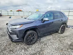 2T3T6RFVXRW064252 2024 TOYOTA RAV 4