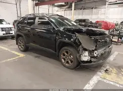 2T3UWRFV0PW169013 2023 TOYOTA RAV 4