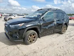 2T3UWRFV0RW196781 2024 TOYOTA RAV 4
