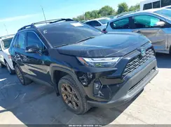 2T3UWRFV0RW229343 2024 TOYOTA RAV 4