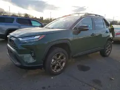 2T3UWRFV0RW231853 2024 TOYOTA RAV 4