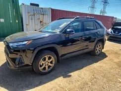 2T3UWRFV1PW183180 2023 TOYOTA RAV 4