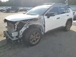 2T3UWRFV1RW210512 2024 TOYOTA RAV 4