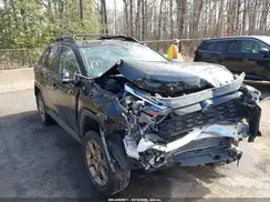 2T3UWRFV2RW195244 2024 TOYOTA RAV 4